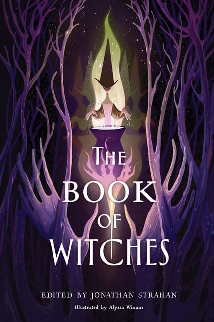 Jonathan Strahan : Book of Witches, The