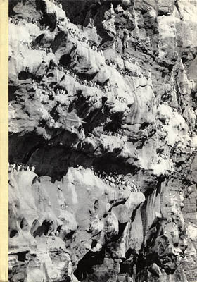 Jonsson, Sixten ; Linnman, Nils (1915-2002) : Färöarna