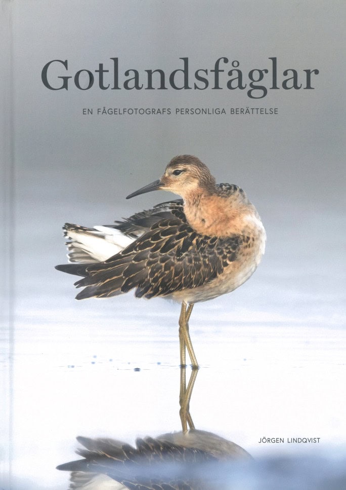 Jörgen Lindqvist : Gotlandsfåglar