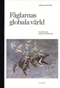 Jörgen Sjöström : Fåglarnas globala värld