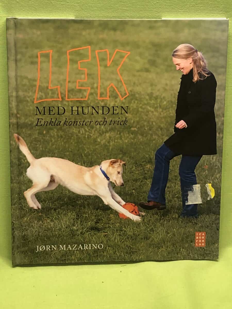 Jørn Mazarino : Lek med hunden