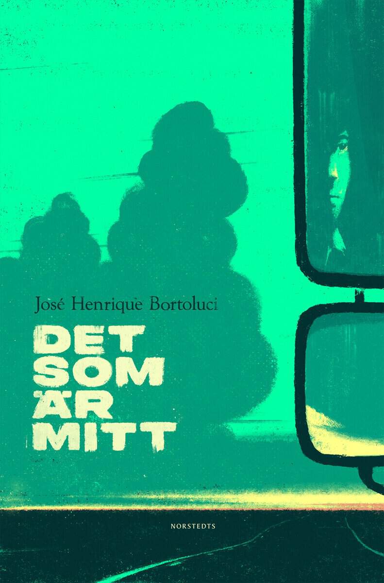José Henrique Bortoluci : Det som är mitt