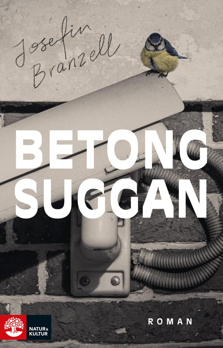 Josefin Branzell : Betongsuggan