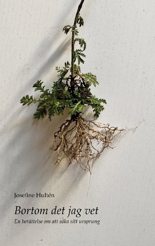 Josefine Hultén : Bortom det jag vet : en berättelse om att söka sitt ursprung