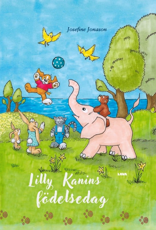 Josefine Jonason : Lilly kanins födelsedag