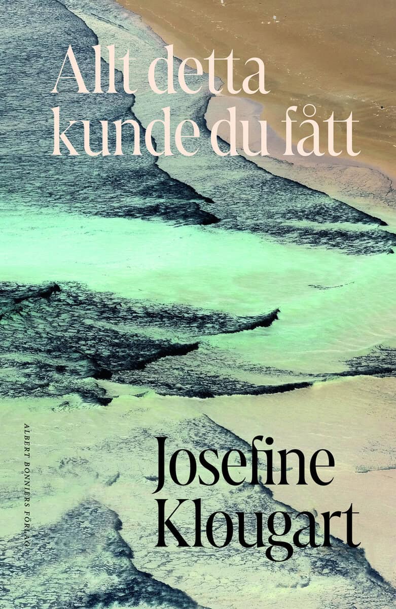 Josefine Klougart : Allt detta kunde du fått