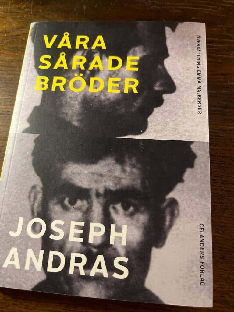Joseph Andras : Våra sårade bröder