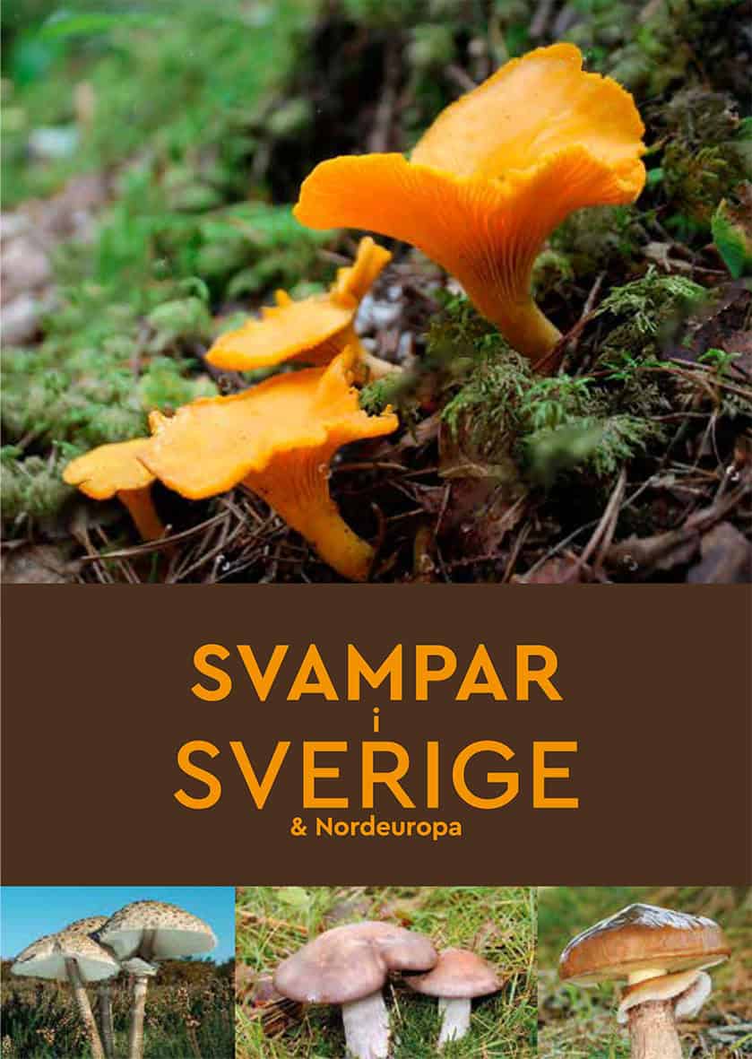 Josephine Bacon : Svampar i Sverige & Nordeuropa