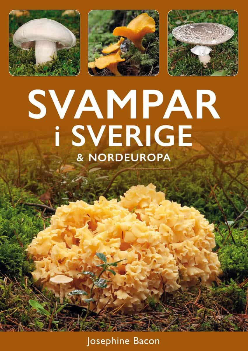 Josephine Bacon : Svampar i Sverige och Nordeuropa