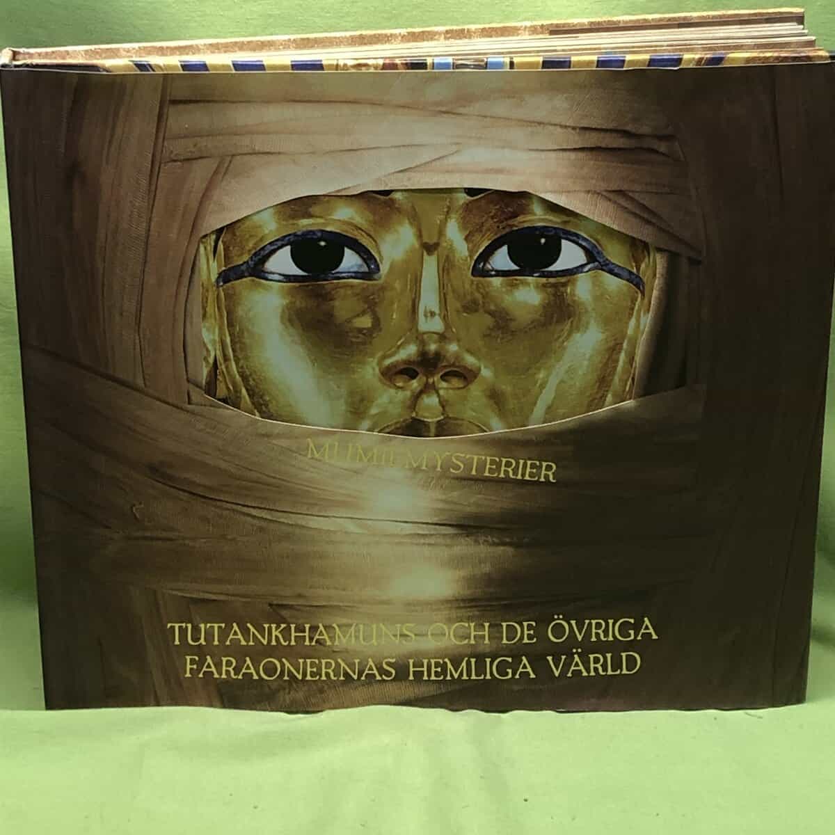 Joyce Tyldesley : Mumiemysterier