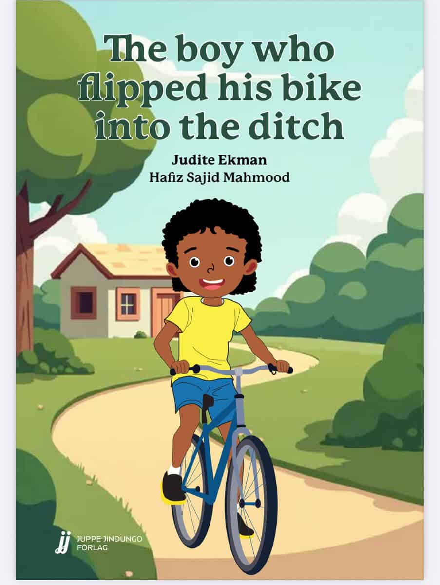 Judite Ekman : The boy who flipped his bike into the ditch