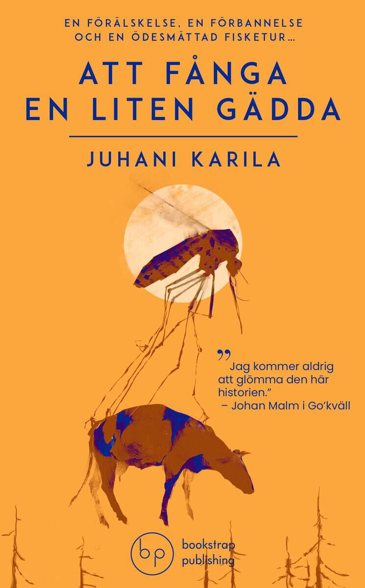 Juhani Karila : Att fånga en liten gädda