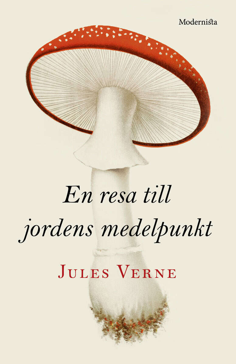 Jules Verne : En resa till jordens medelpunkt