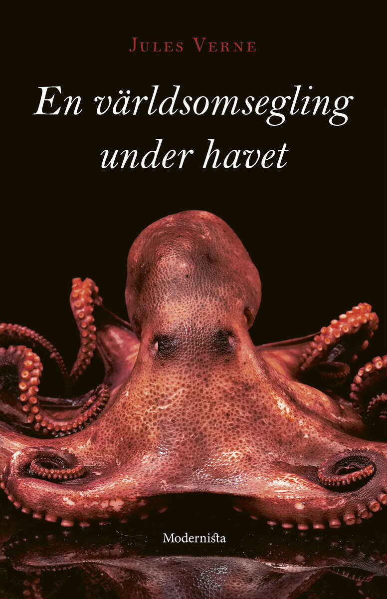 Jules Verne : En världsomsegling under havet