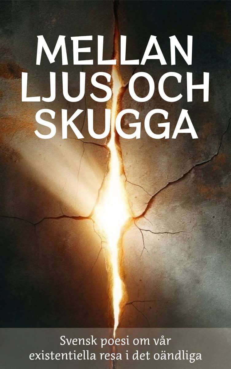 Julia Appelskog : Mellan ljus och skugga