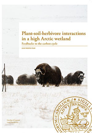 Julie Maria Falk : Plant-soil-herbivore interactions in a high Arctic wetland