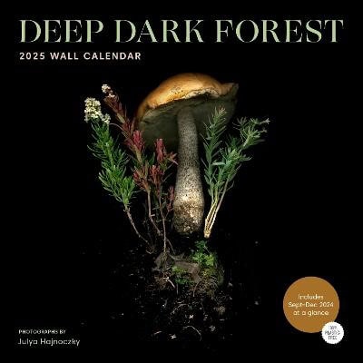 Julya Hajnoczky : Deep Dark Forest 2025 Wall Calendar