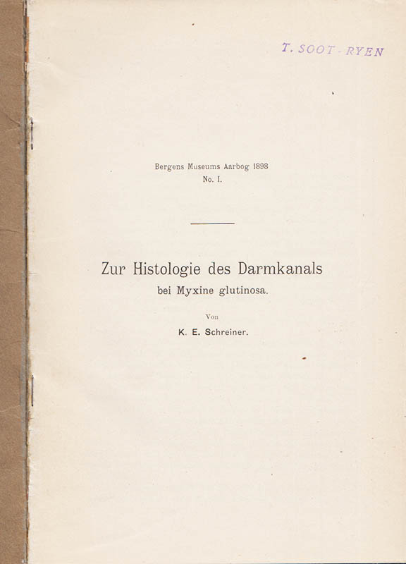 K. E. Schreiner : Zur Histologie des Darmkanals bei Myxine glutinosa
