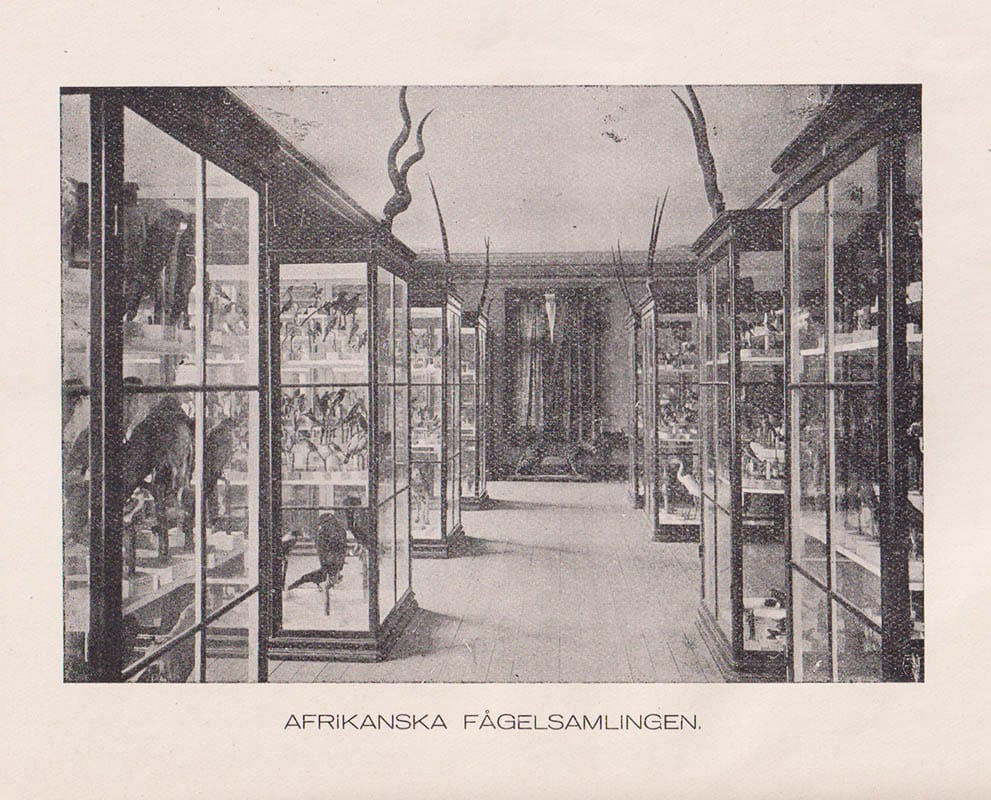 K. G. Cedergren : Vänersborgs museums historia