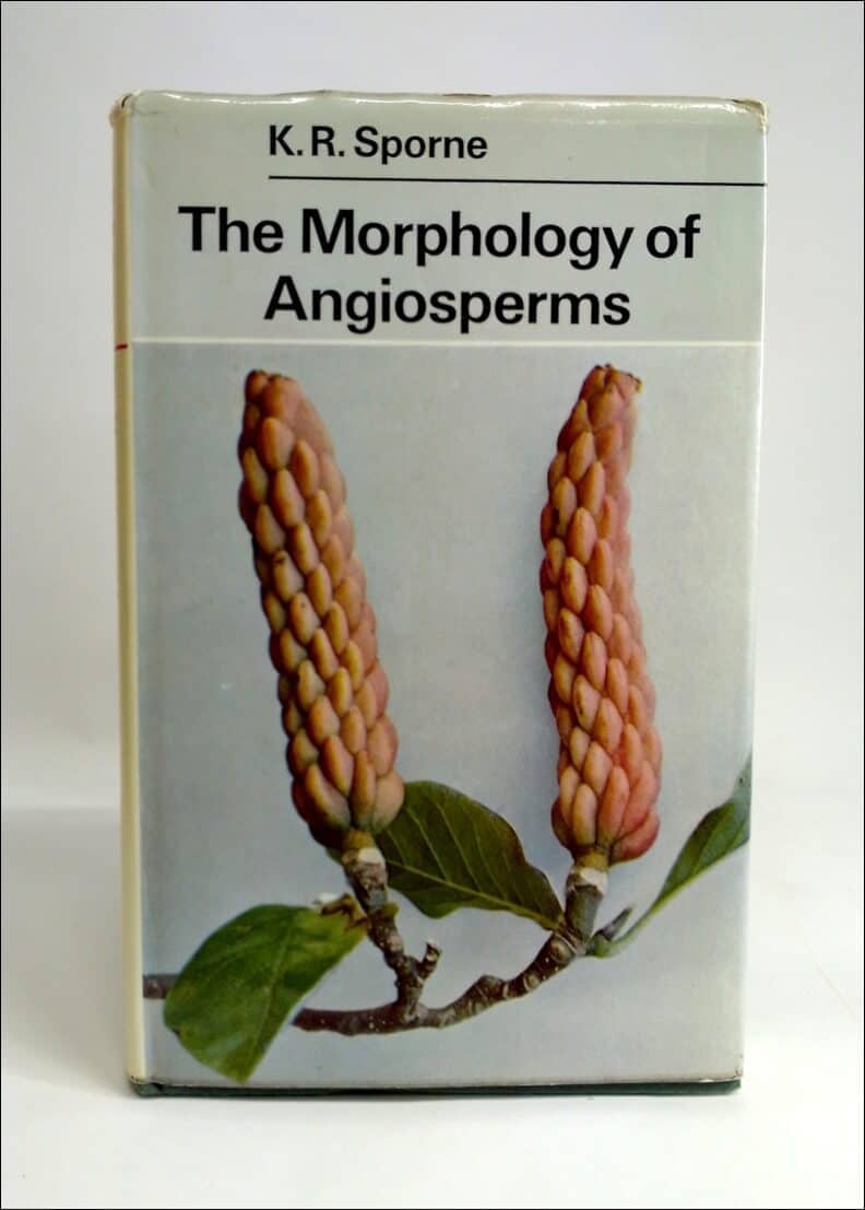 K. R. Sporne : The morphology of angiosperms