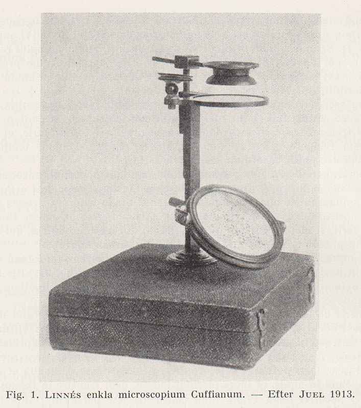 K. V. Ossian Dahlgren : Peter Collinson om vegetativa mutationer samt ett brev från Linné med anledning härav