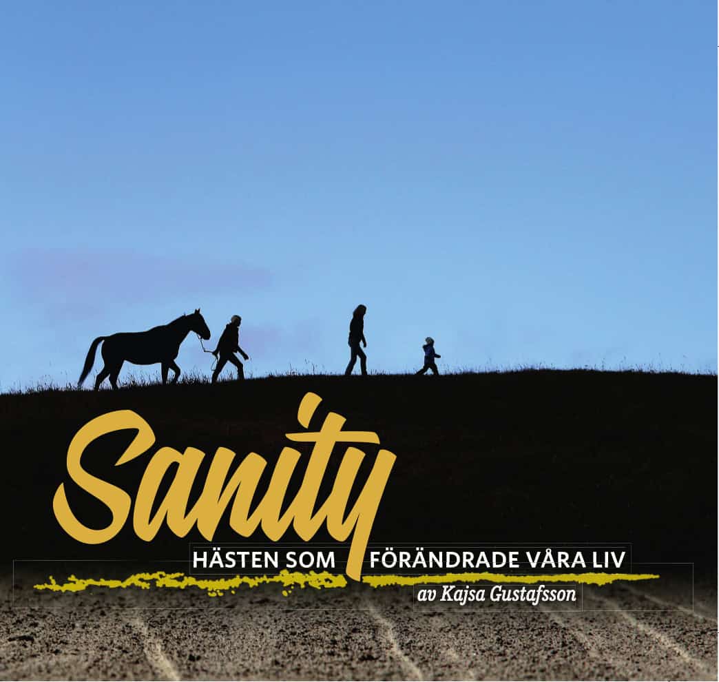 Kajsa Gustafsson : Sanity