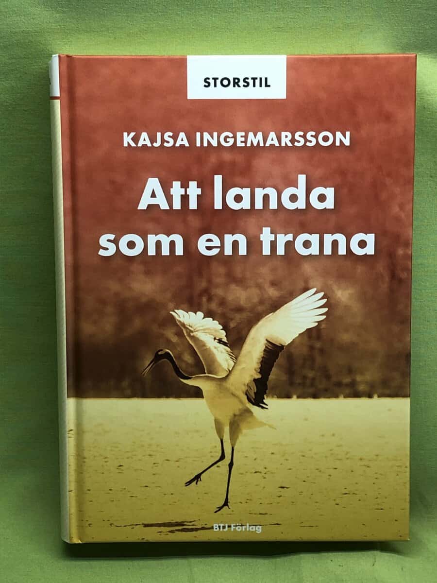 Kajsa Ingemarsson : Att landa som en trana