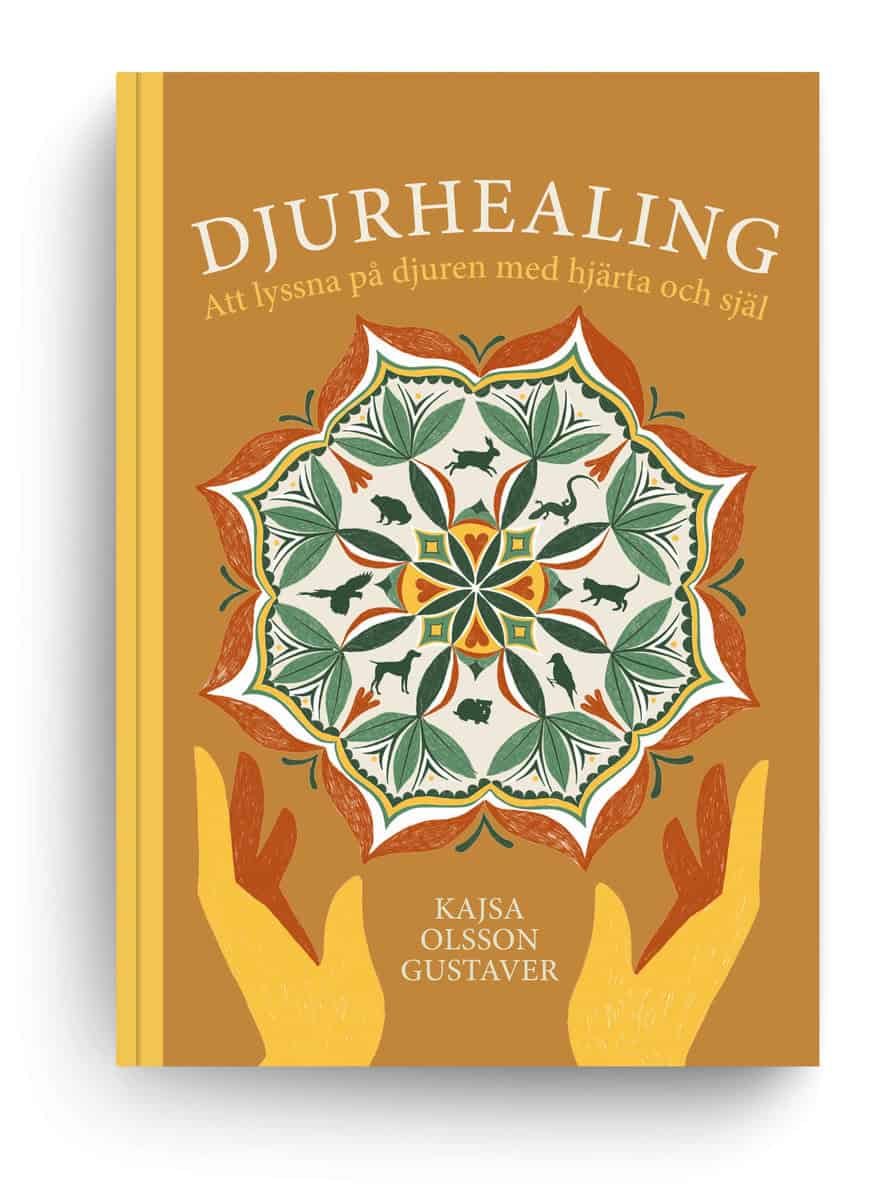 Kajsa Olsson Gustaver : Djurhealing