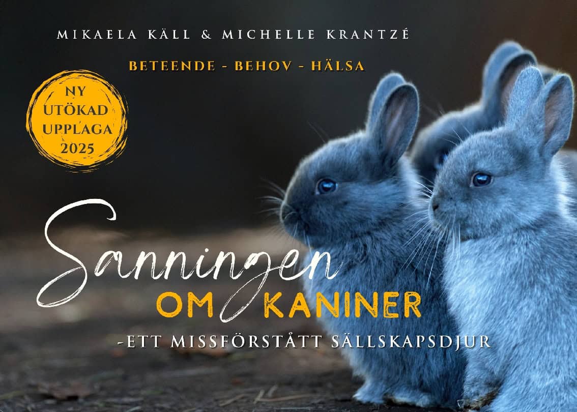 Käll, Mikaela ; Krantzé, Michelle : Sanningen om kaniner : ett missförstått sällskapsdjur