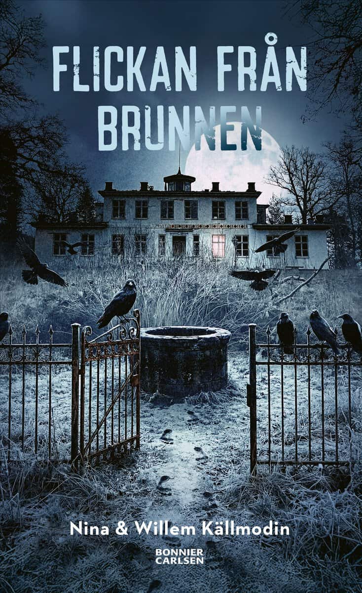 Källmodin, Nina ; Källmodin, Willem : Flickan från brunnen