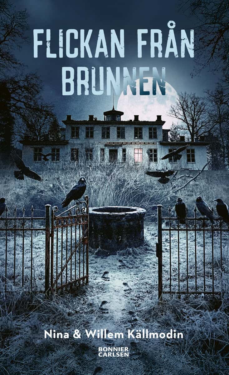 Källmodin, Nina ; Källmodin, Willem : Flickan från brunnen