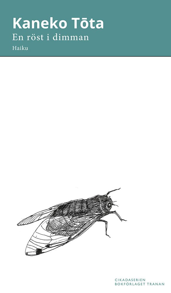 Kaneko Tota : En röst i dimman