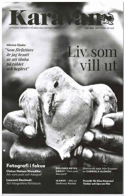 Karavan 1 2021. Fotografi i fokus