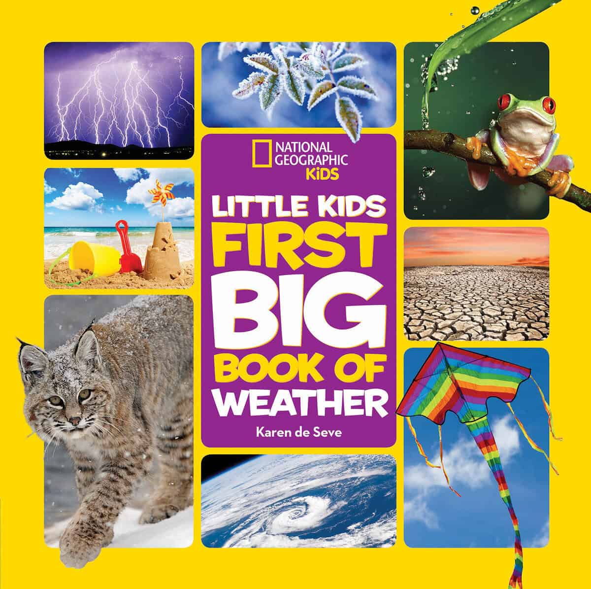 Karen de Seve : Little kids first big book of weather