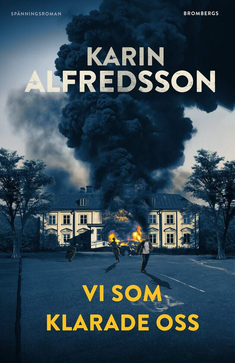 Karin Alfredsson : Vi som klarade oss
