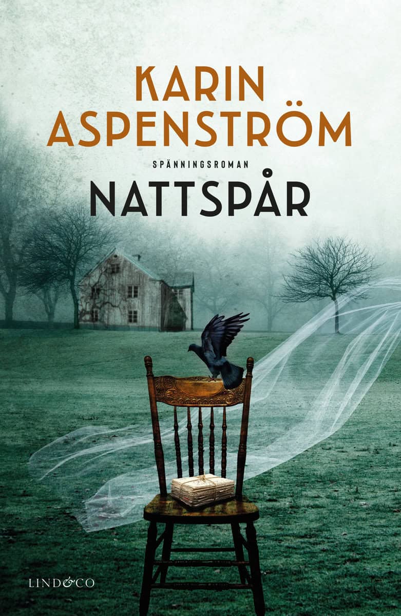 Karin Aspenström : Nattspår