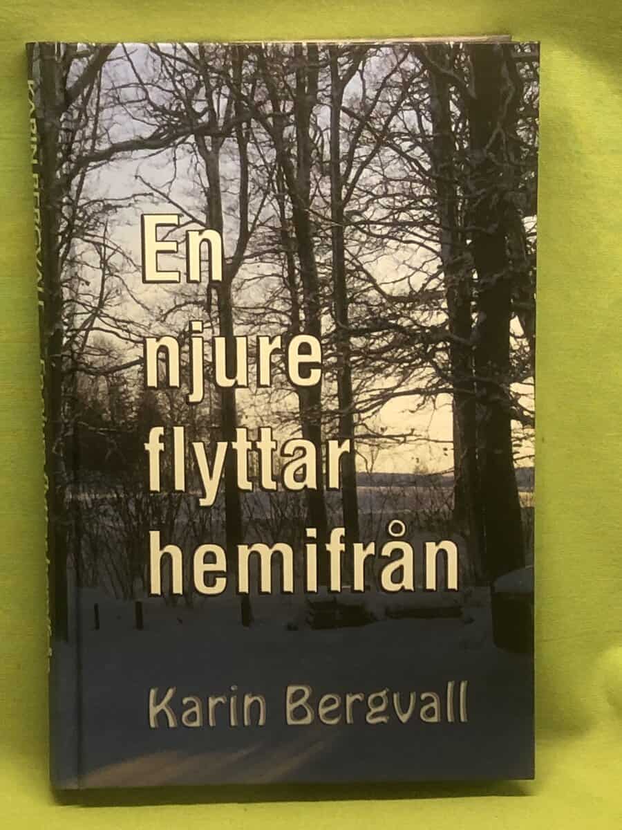 Karin Bergvall : En njure flyttar hemifrån