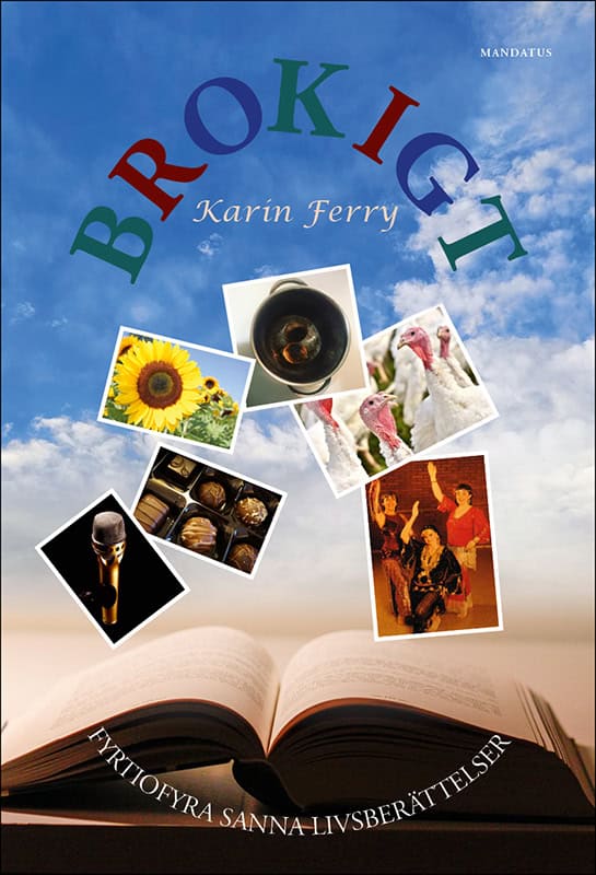 Karin Ferry : Brokigt