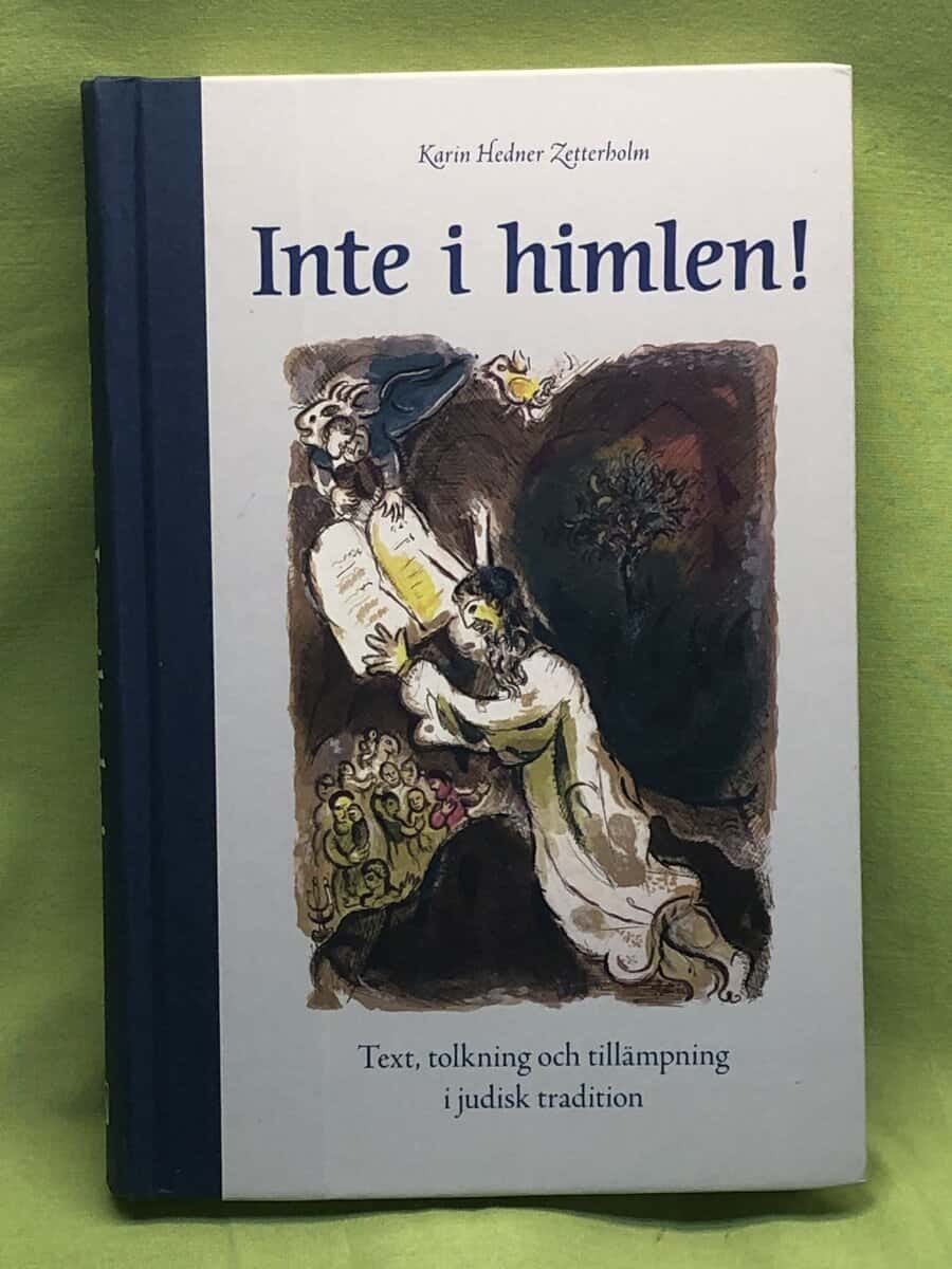 Karin Hedner Zetterholm : Inte i himlen