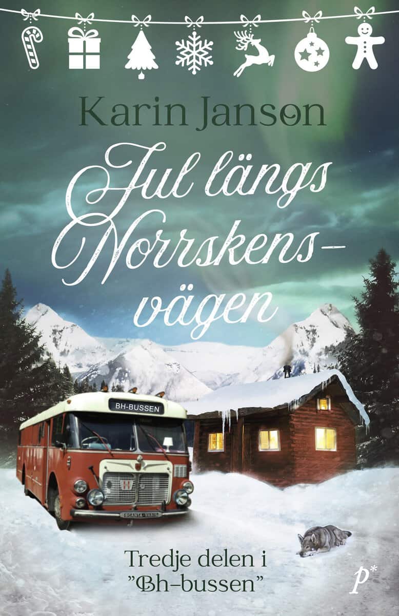 Karin Janson : Jul längs Norrskensvägen