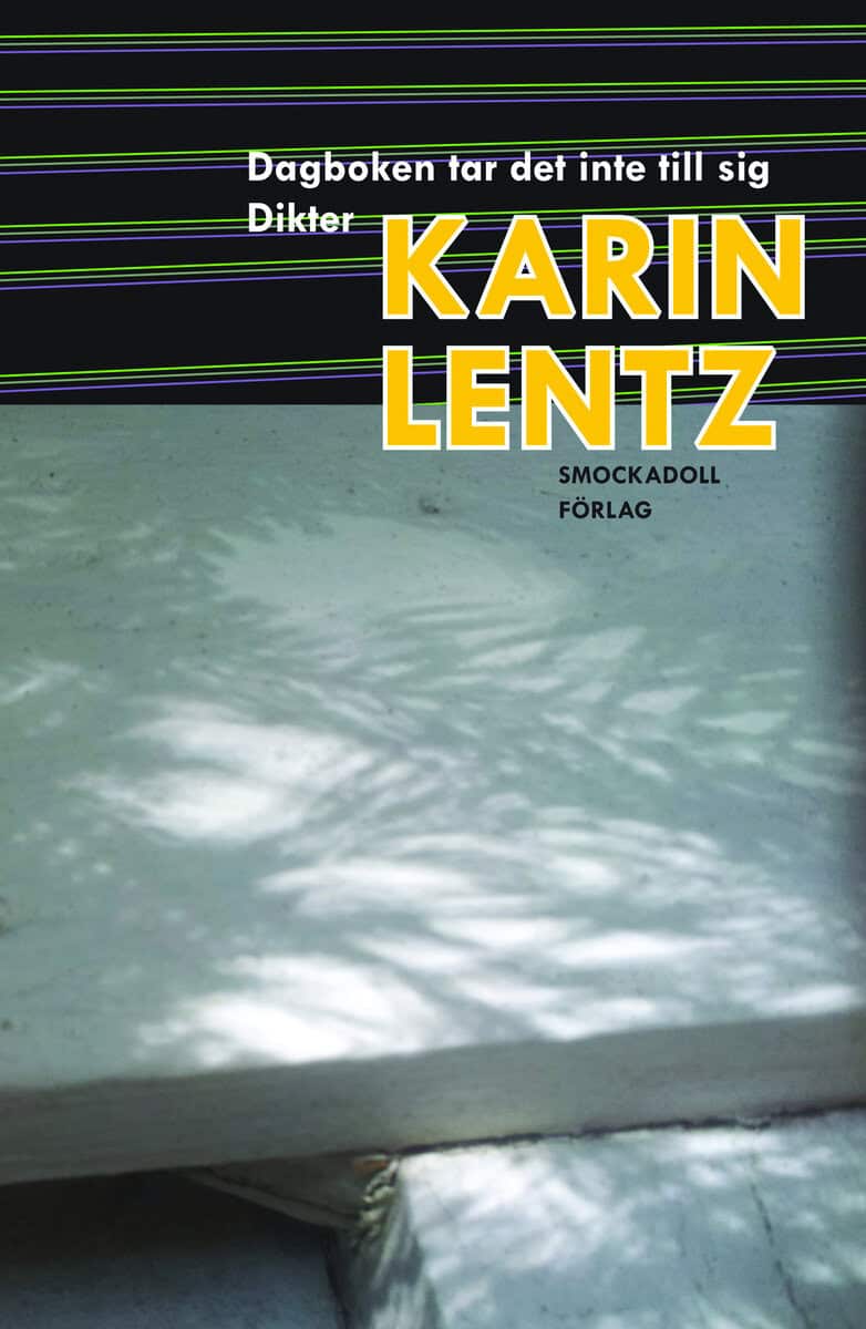 Karin Lentz : Dagboken tar det inte till sig
