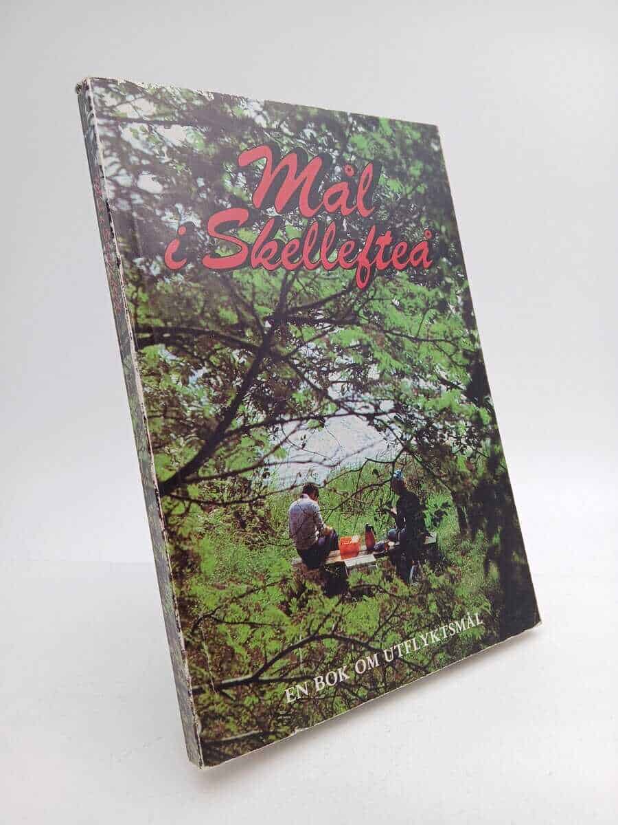 Karin Lundkvist : Mål i Skellefteå