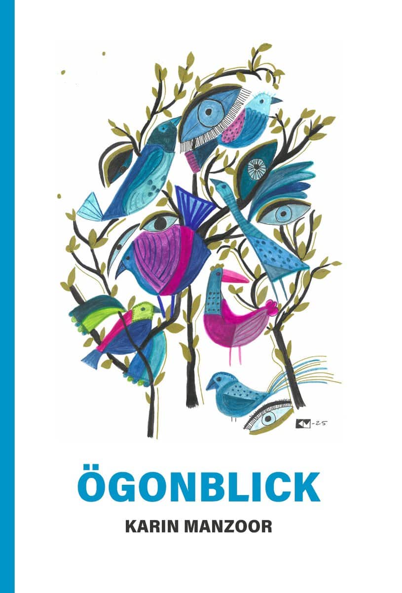 Karin Manzoor : Ögonblick