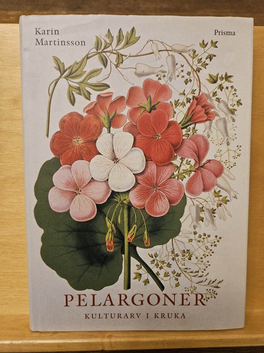 Karin Martinsson : Pelargoner