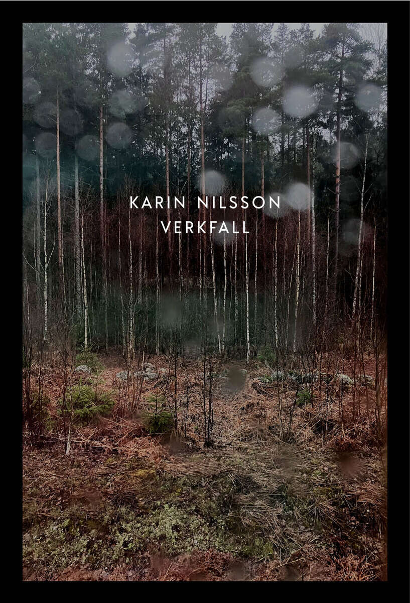 Karin Nilsson : Verkfall