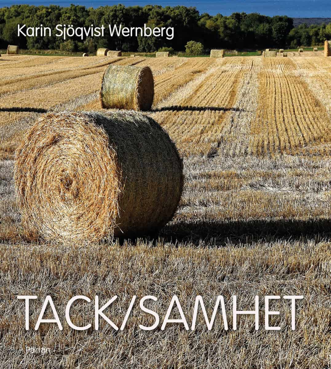 Karin Sjöqvist Wernberg : Tack/samhet