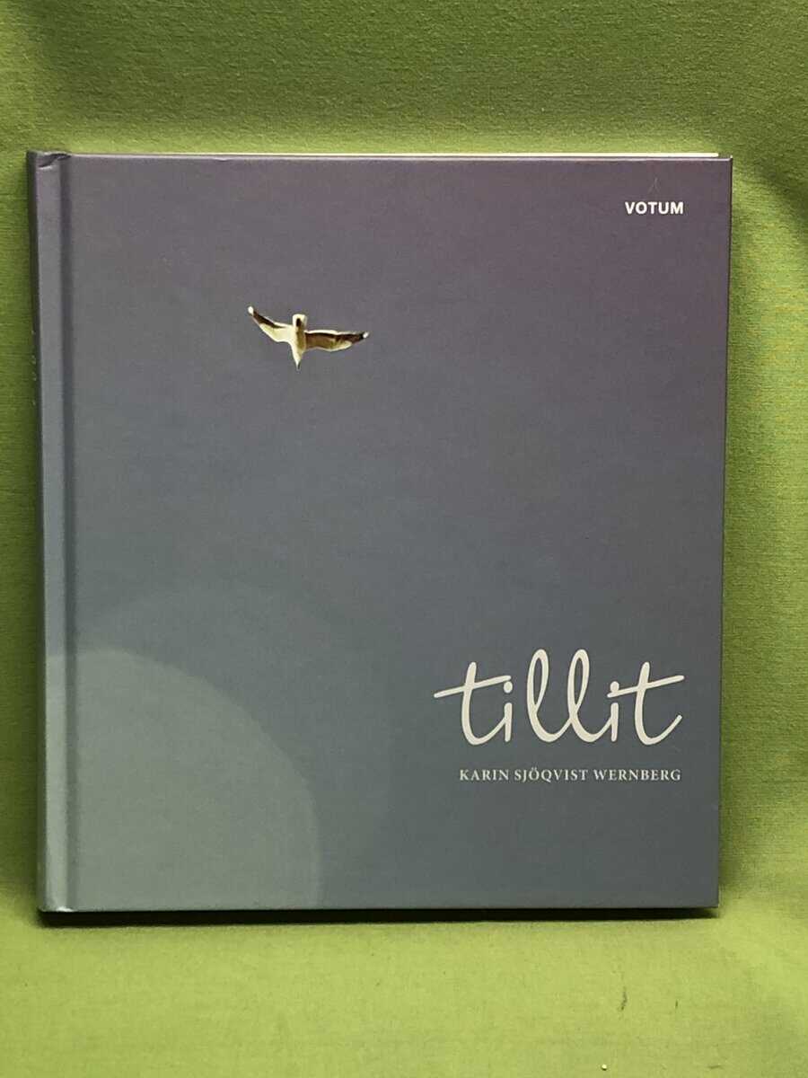 Karin Sjöqvist Wernberg : Tillit