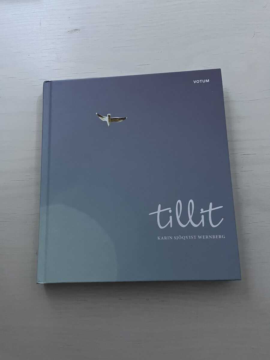 Karin Sjöqvist Wernberg : Tillit