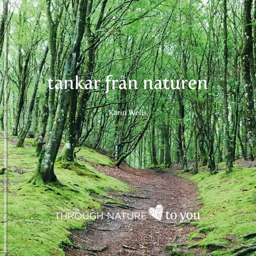 Karin Wells : Tankar från naturen