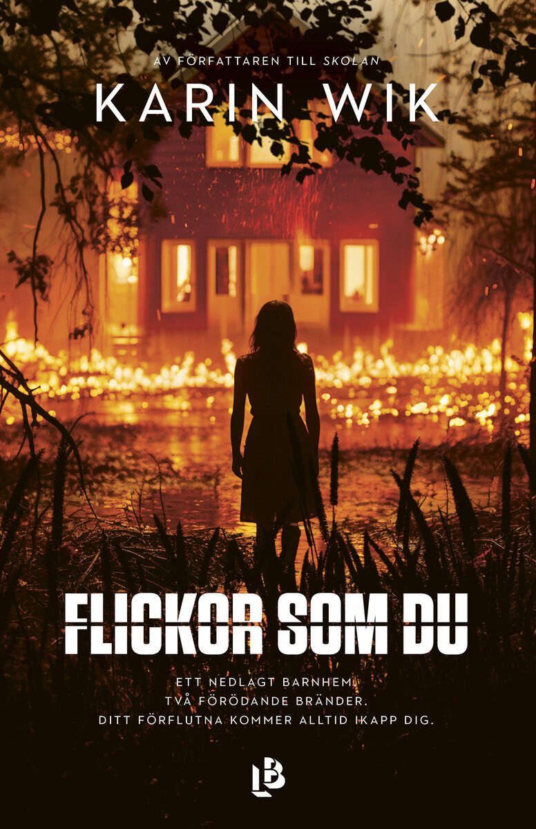 Karin Wik : Flickor som du